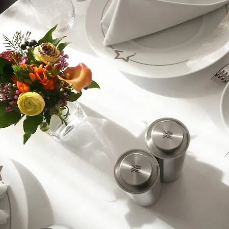 Princesse Flore 5* Royat